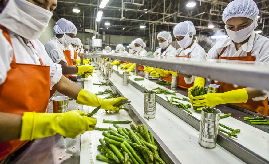 Agri Economics